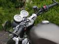 Triumph Speed Twin 1200 Сірий - thumbnail 7