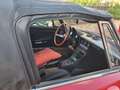 Alfa Romeo Spider Spider Duetto 2.0 cv 130 Rouge - thumbnail 11