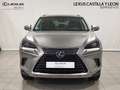 Lexus NX 300 300h Executive Navigation 4WD Gris - thumbnail 4