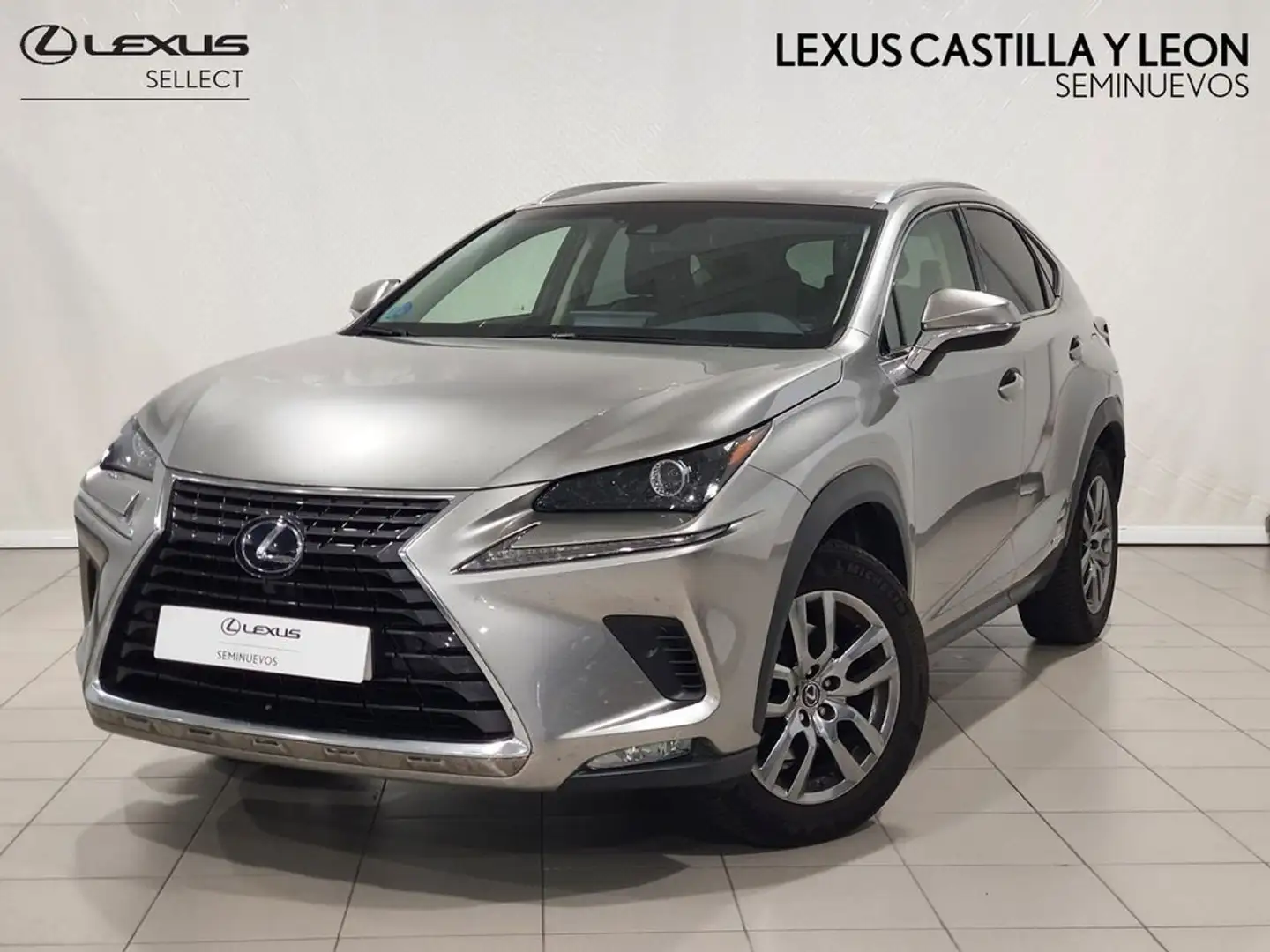 Lexus NX 300 300h Executive Navigation 4WD Gris - 1