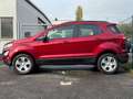 Ford EcoSport Cool & Connect 1.Hand Lekrdhzg Rouge - thumbnail 7