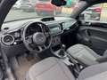 Volkswagen Beetle Cup / Sitzheizung / PDC / Panorama-Dach Noir - thumbnail 9