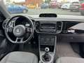 Volkswagen Beetle Cup / Sitzheizung / PDC / Panorama-Dach Noir - thumbnail 11