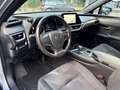 Lexus UX 300h UX 300h Urban Silber - thumbnail 6