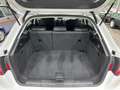 Audi A3 A3 Sportback 1.6 tdi 110cv unicoproprietario 2016 Bianco - thumbnail 15