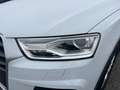 Audi Q3 2.0 tdi Business quattro 150cv s-tronic Weiß - thumbnail 6