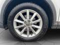 Audi Q3 2.0 tdi Business quattro 150cv s-tronic Weiß - thumbnail 5