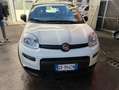Fiat Panda 1.0 hybrid City Life Bianco - thumbnail 1