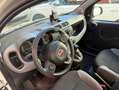 Fiat Panda 1.0 hybrid City Life Bianco - thumbnail 6