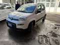 Fiat Panda 1.0 hybrid City Life Bianco - thumbnail 2