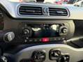 Fiat Panda 1.0 hybrid City Life Bianco - thumbnail 8