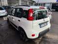 Fiat Panda 1.0 hybrid City Life Bianco - thumbnail 3
