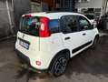 Fiat Panda 1.0 hybrid City Life Bianco - thumbnail 5