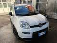 Fiat Panda 1.0 hybrid City Life Bianco - thumbnail 4