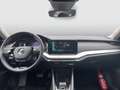 Skoda Octavia Ambition TDI DSG Schwarz - thumbnail 11