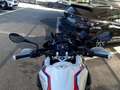 BMW R 1250 GS R 1250 GS RALLY Bianco - thumbnail 7