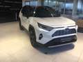 Toyota RAV 4 RAV4 2,5 Hybrid Style AWD Style +DAP+WP Weiß - thumbnail 2