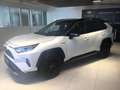 Toyota RAV 4 RAV4 2,5 Hybrid Style AWD Style +DAP+WP Weiß - thumbnail 4