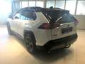 Toyota RAV 4 RAV4 2,5 Hybrid Style AWD Style +DAP+WP Weiß - thumbnail 5