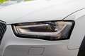 Audi A4 allroad 2.0 TFSI Quattro ALCANTARA KLIMA AHK Blanco - thumbnail 23
