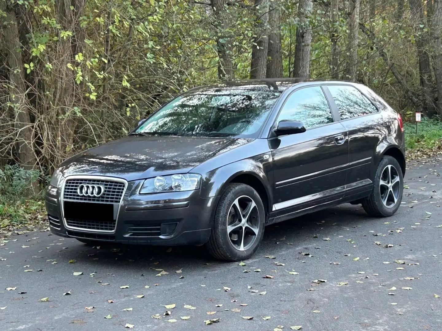 Audi A3 1.6 Attraction *Tüv bis 06/2027* Grau - 2