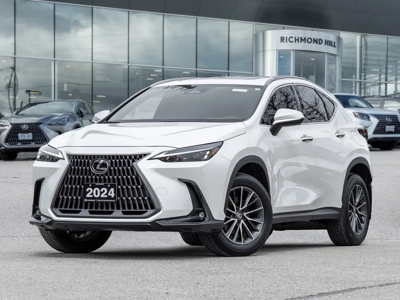 2024 Lexus NX
