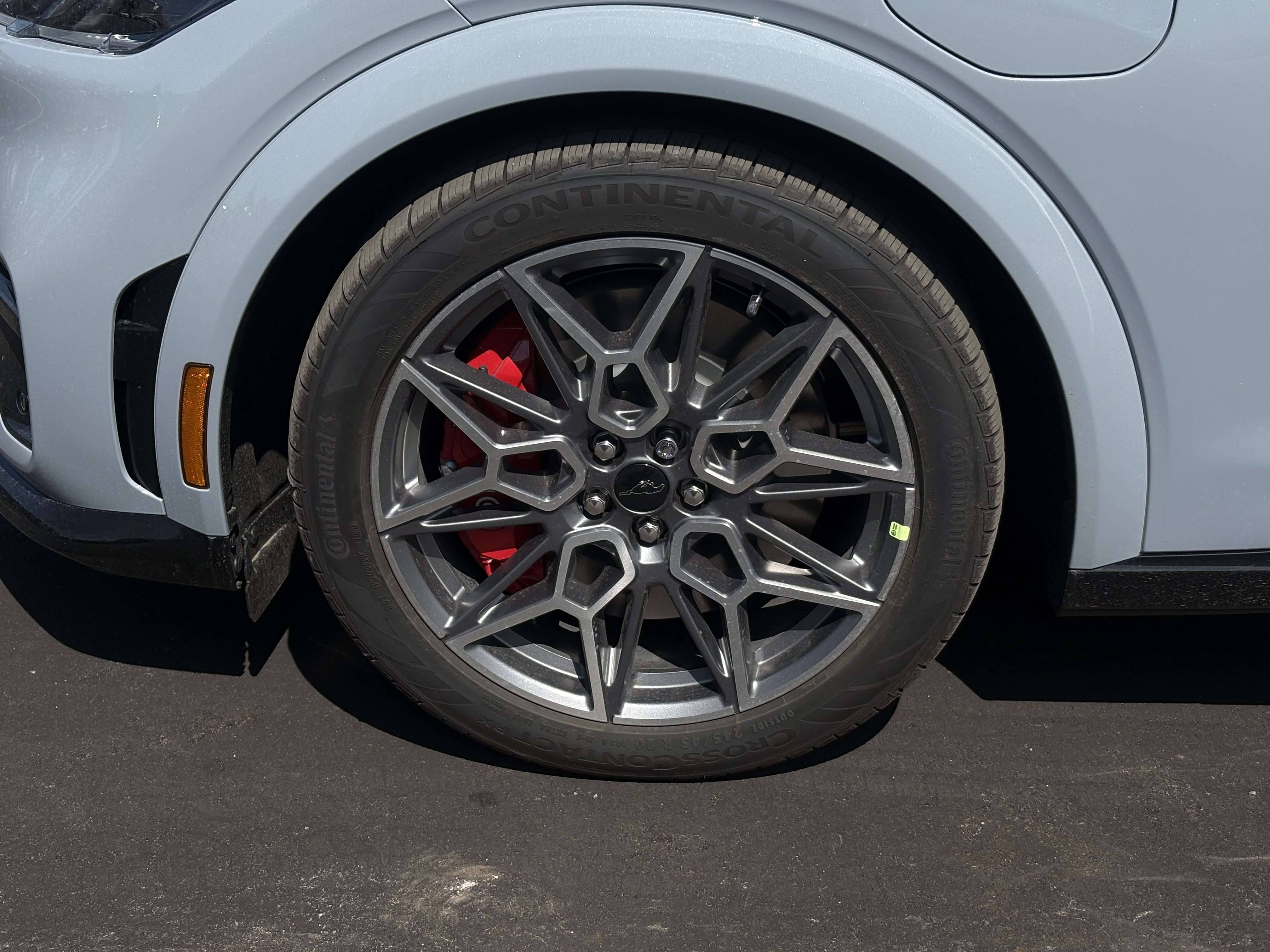 Image 8