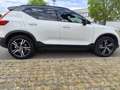 Volvo XC40 XC40 2.0 d4 R-design awd geartronic Blanco - thumbnail 6