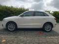 Audi Q3 2.0 TDi Business Quattro 150cv per Esportazione Blanc - thumbnail 5