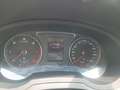 Audi Q3 2.0 TDi Business Quattro 150cv per Esportazione Blanc - thumbnail 10
