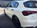 Fiat Tipo 1.6  MJT   130 CV  CROSS Bianco - thumbnail 10
