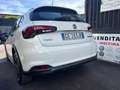 Fiat Tipo 1.6  MJT   130 CV  CROSS Bianco - thumbnail 9