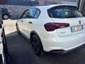 Fiat Tipo 1.6  MJT   130 CV  CROSS Bianco - thumbnail 6