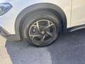 Fiat Tipo 1.6  MJT   130 CV  CROSS Bianco - thumbnail 13