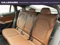BMW X6 40 i xDrive M Sport -Pano-AHK-DrivingAss M Sport Grau - thumbnail 30