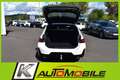 BMW 320 i M Sport ACC+Entry+Head-Up+Leder+Memory+AHK Blanc - thumbnail 5