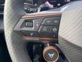 CUPRA Terramar VZ 2.0 TSI 4Drive Matrix,Sound,20-Zoll Nero - thumbnail 15