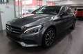 Mercedes-Benz C 350 C T-Modell C 350 T e Navi LEDER Gris - thumbnail 1