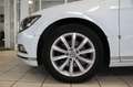 Volkswagen Passat Variant Highline Virtual Pano Kamera ACC Weiß - thumbnail 10