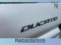 Fiat Ducato Maxi 35 L3 Pritsche Doka 140 MT 6E Weiß - thumbnail 22