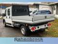 Fiat Ducato Maxi 35 L3 Pritsche Doka 140 MT 6E Weiß - thumbnail 5