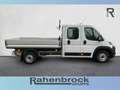 Fiat Ducato Maxi 35 L3 Pritsche Doka 140 MT 6E Weiß - thumbnail 3