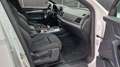Audi Q5 40 TDI Quattro Sport 1.Hand Virtual LED Pano Blanc - thumbnail 10