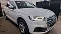 Audi Q5 40 TDI Quattro Sport 1.Hand Virtual LED Pano Blanc - thumbnail 3