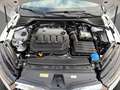 Skoda Octavia Combi 2.0 TDI DPF Style DSG Weiß - thumbnail 21