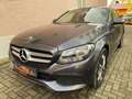 Mercedes-Benz C 220 T BlueTec / d Panno Teilleder, SH!!! Grau - thumbnail 3