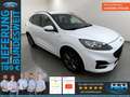 Ford Kuga 2.5 FHEV ST-Line X el.Klappe+LED+Kamera Weiß - thumbnail 1