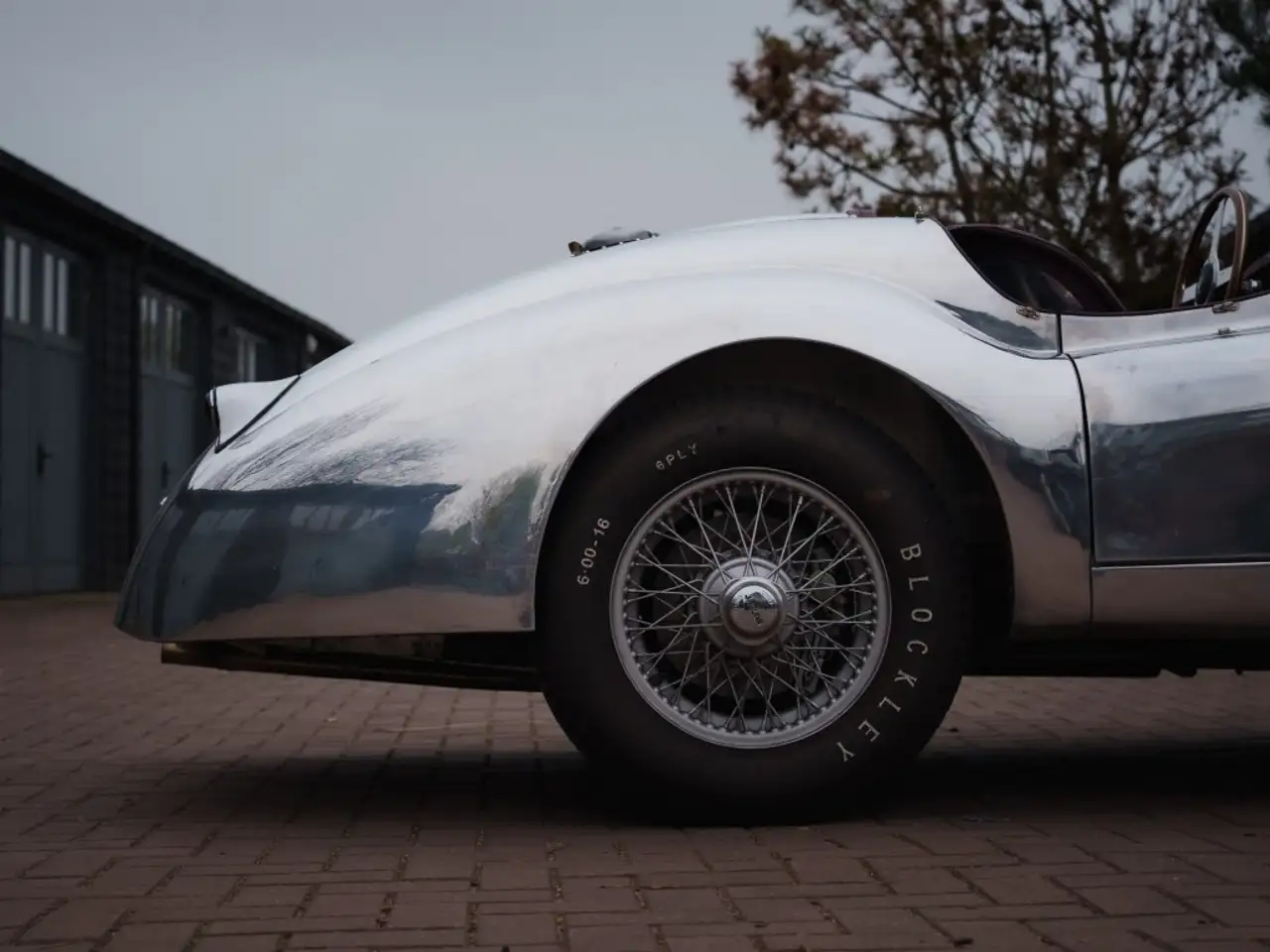 Jaguar -, foto 11