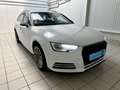 Audi A4 V (B9) 2.0 TDI 150 Business line Blanc - thumbnail 3