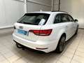 Audi A4 V (B9) 2.0 TDI 150 Business line Blanc - thumbnail 4